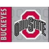 BSI Ohio St. Buckeyes Premium 3x5 Flag