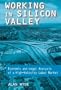 Working in Silicon Valley: Economic and Legal Analysis of a High-Velocity Labor Market (Issues in Work and Human Resources)