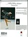 Search : Very Young Skater, A