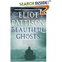 Beautiful Ghosts (Inspector Shan Tao Yun)