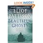 Beautiful Ghosts (Inspector Shan Tao Yun)