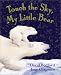 Books : Touch the Sky, My Little Bear