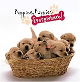 Puppies, Puppies Everywhere