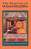 The Practice of Mahamudra