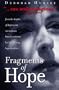 Fragments of Hope