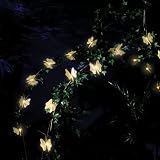 Premier 20 Gold Sparkling Mesh Butterfly Lights