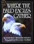 Where the Bald Eagles Gather