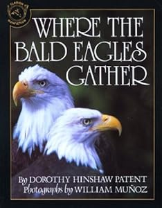 Where the Bald Eagles Gather Dorothy Hinshaw Patent and William Munoz