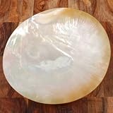Fancy Mother of Pearl Hand-Carved Serving Plate with 3 Sterling Silver Legs - 6 inch