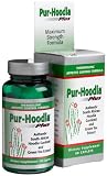 516QSZs5uBL. SL160  Windmill Health Pur Hoodia Plus, 60 Count Bottle