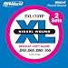 D'Addario EXL170TP Nickel Wound Bass Guitar Strings, Light, 45-100, 2 Sets, Long Scale