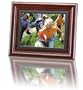 Axion AXN-9105M 10-Inch LCD Digital Multimedia Player