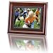 Axion AXN-9105M 10-Inch LCD Digital Multimedia Player