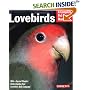 Lovebirds (Complete Pet Owner's Manual)