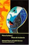  : Plane Surfaces/Plano de Incidencia