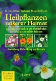 Produkt-Bild: Heilpflanzen unserer Heimat