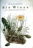 Produkt-Bild: Die Wiese als Lebensgemeinschaft