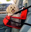 Kyjen Outward Hound Car Booster Seat, Small, Black