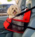 Kyjen Outward Hound Car Booster Seat, Small, Black
