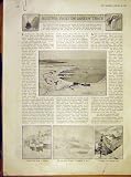 AUSTRIA TRIESTE SKETCHES VIENNA CANADIAN AUSTRIAN ALPS
