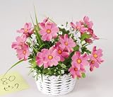 ���G�}�A�[�g�t�����[�@�R�X���X�o �`�Q�S�P�S�|�R�O�@