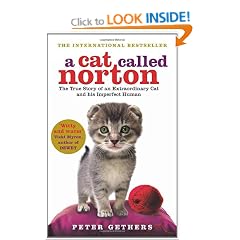 A Cat Called Norton: The True Story of an Extraordinary Cat and his Imperfect Human