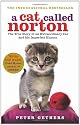 A Cat Called Norton: The True Story of an Extraordinary Cat and his Imperfect Human