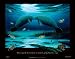 Manatee Encounter 36 X 26 Poster
