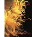 Chihuly: Form from Fire