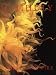 Chihuly: Form from Fire