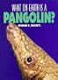 What on Earth Is A... - Pangolin