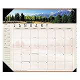 At-A-Glance 89802 Visual Organizer Landscape Monthly Desk Pad Calendar, 22 x 17