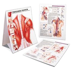 Trigger Points: Understanding Myofascial Pain and Discomfort