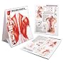Trigger Points: Understanding Myofascial Pain and &hellip by Anatomical Chart Com