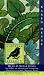 Books : Aleutian Sparrow