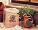 Toysmith Grow Your Own Italian Herb Garden Kit