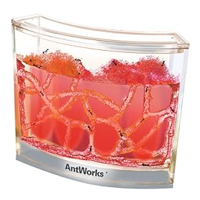 AntWorks Illuminated with LED Light - Red by Unknown