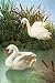 Folkmanis Swan Hand Puppet