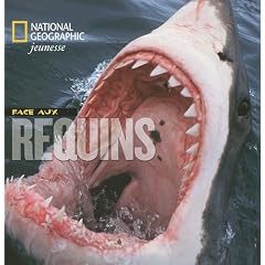Face aux Requins
