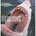 Face aux Requins
