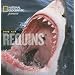 Face aux Requins
