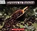 Grapes To Raisins (Welcome Books)