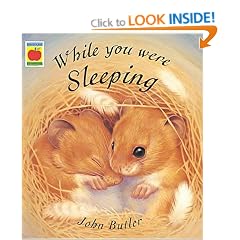 While You Were Sleeping (Orchard picturebooks)