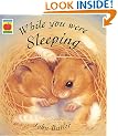 While You Were Sleeping (Orchard Picturebooks)