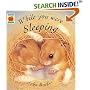 While You Were Sleeping (Orchard Picturebooks)