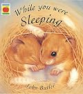 While You Were Sleeping (Orchard picturebooks)