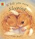 While You Were Sleeping (Orchard picturebooks)