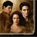 The Twilight Saga: New Moon Beverage Napkins (16 count)