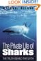 Private Life of Sharks