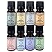 Gift Set Essential Oil Top 8-10ml (Spearmint, Lemon, Tea Tree, Sweet Orange, Grapefruit, Eucalyptus, Peppermint, Lavender)